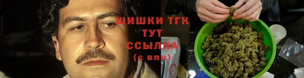 МДПВ Семилуки