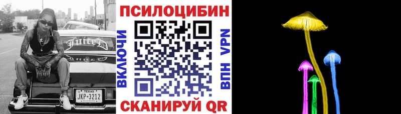 Псилоцибиновые грибы Psilocybine cubensis  Горно-Алтайск 